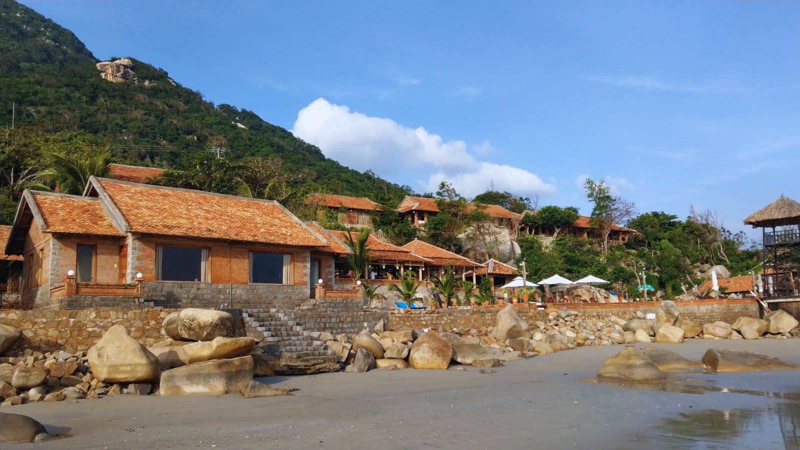 wild beach resort